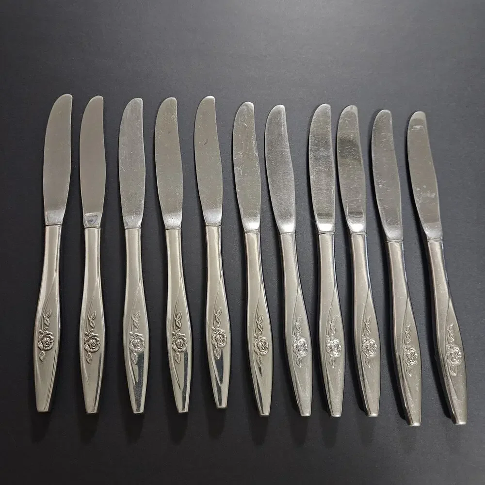 Oneida Lasting Rose Modern Set Of 11 Stainless Replacement Butter Knives